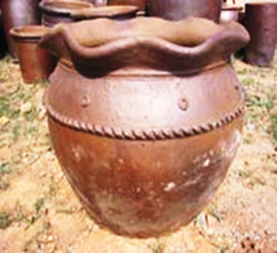 SP-BC024